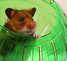 Can I's Come's Out's and Play's Wiff U's by tuffcookie