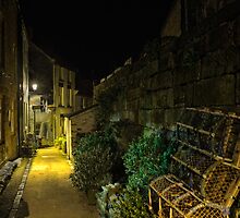 The Narrow Streets of Staithes by David Lewins