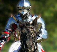 Chivalry! by Wayne Gerard Trotman