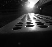 Sunlit Seat by Nick McGuire