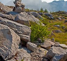 Man was Here by Barb White