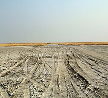 The Road Less travelled by Fiona Christensen