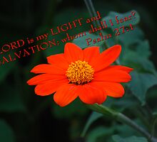 My Favorite Psalm... by Carol Clifford