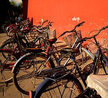 Bicycles - Beijing, China by Alex Zuccarelli