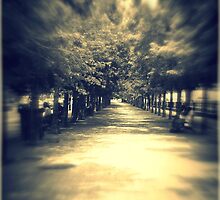 boardwalk by gbrosseau