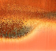 burnt out by Catherine Hadler