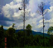 Heal the World by Nith