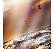 Echoes in Time by Nico van der merwe