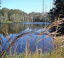 SMALL PROPERTY DAM 1 by Ekascam