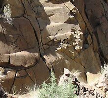 Invertebrate or backbone? by Dave Sandersfeld