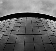Sky Mirror by Mark Lee
