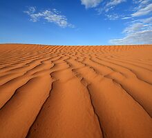 Sand Dune Ripples, Simpson Desert, Australia by David Jamrozik
