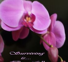 Pink is ... Surviving! Original Photography All Rights Reserved Lei Hedger 2009 by leih2008