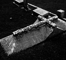 Star Crossed by beresfordphotos