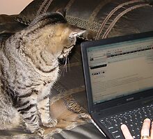 Did I win the bid on EBAY? by DonnaMoore