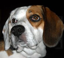 Patch Portrait by debbiedoda