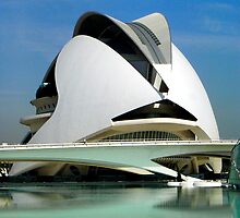 Palace of Arts, Opera of Valencia, Spain by jmhdezhdez