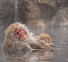 Snow soak by Anne Young