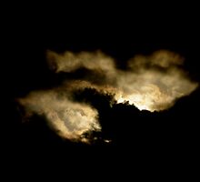 Hallow... EEEEEEENnnnn. by Larry Llewellyn