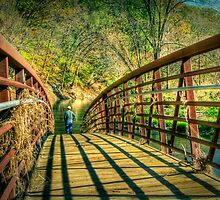 Bridge Over Troubled Water by Jayme Rutherford