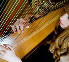 The Harpist by Mark Elshout