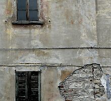 The Old Ones are the Best by avocet