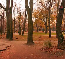 Tree trinity. by demigod