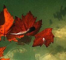 five red leaves by Juilee Pryor