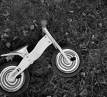 Bike in the Park by dijle