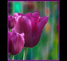 Pink Tulips by ARTforcancer