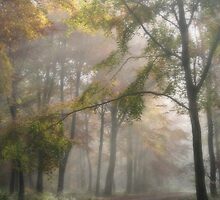 The Road Less Travelled by Graham Ettridge