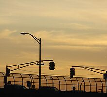 Garden State Parkway by eelsblueEllen