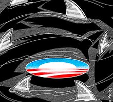Right Fin Patriots by Alex Preiss