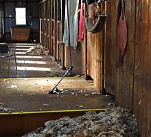 Shearing shed at Shear Outback by Darren Stones