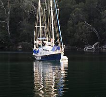 wishful thinking by nadine henley