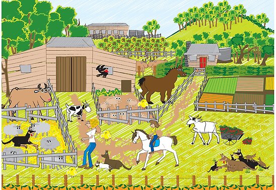 Farmyard Pictures