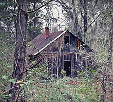 Hidden Treasure by Linda Yates