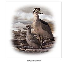 BEACH THICK-KNEE #3 by DilettantO