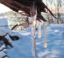 cold winter icicles after first snow storm by robertpatrick