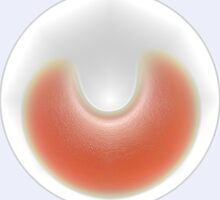 Slice of Orange by Che Dean