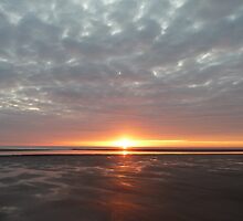 whats the story....morning glory by chili