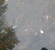 NYC water by andytechie
