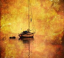 Reflections of Fire by Rich Summers