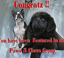 Banner for Paws N claws feature challenge by Cazzie Cathcart