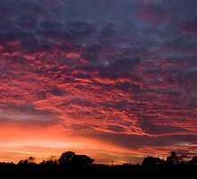 Hallow Sunset panorama by David Benton