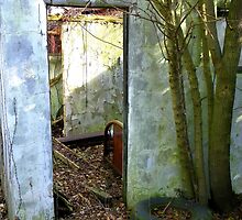 Knock Knock Knockin' on Haven's Door by wiscbackroadz