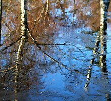 Frozen Reflection by starlitewonder