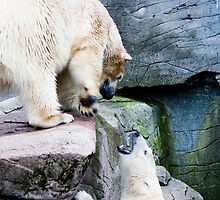 Stay away it's not Saturday - yet! by imagic