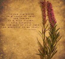 Grains of Sand by Tia Allor-Bailey