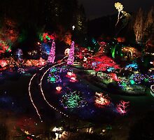 Night in the Sunken Garden(2) by George Cousins